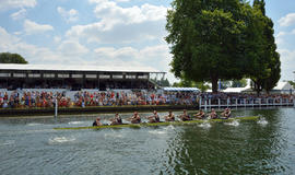 Thames Cup
