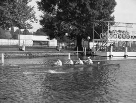 Unknown coxless four training at Henley