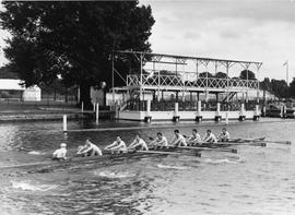 Thames Cup VIII training