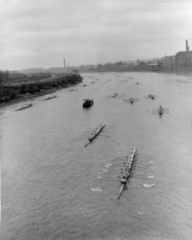 Start of the Head of the River Race 1951, from Chiswick Bridge