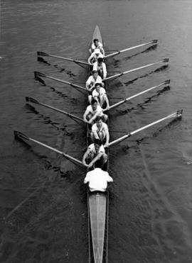 The Thames Cup VIII